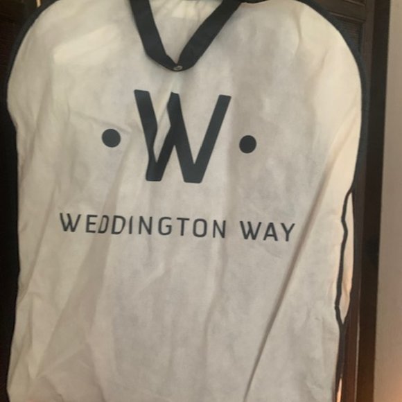 Alfred Sung Italian Plum Color long formal dress - Picture 5 of 6